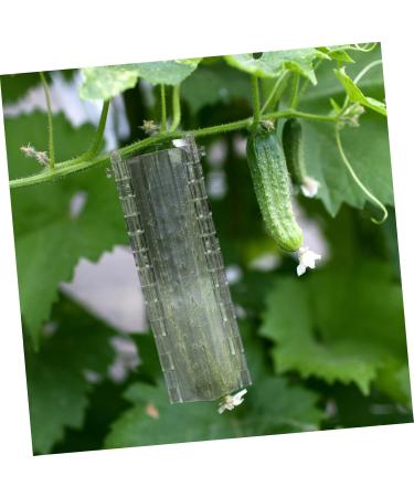 Parliky 2pcs Melon and Fruit Shaping Mold Vegetables Cucumber Molds Fruit Growth Shaping Accessories Shaper - Buy Online on GoSupps.com