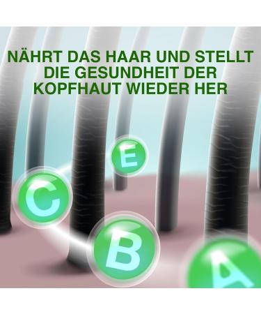  p-beauty Amla Hair Oil for intensive hair growth against dandruff and hair loss cold-pressed organic and vegan vitamin C amino acid 2 x 60 ml - Buy Online on GoSupps.com