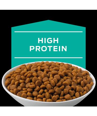 Purina Pro Plan EN Gastroenteric Feline Formula Dry Cat Food 6lb - Veterinary Diets for Digestive Health - Buy Online on GoSupps.com
