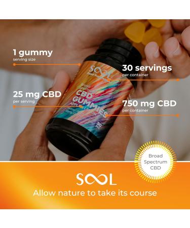 Sool CBD Gummies 750mg | 30pcs, 25mg CBD/Gummy | Apple & Lemon Flavor | Broad Spectrum Edibles for Relaxation, Recovery & Relief - Buy Online on GoSupps.com