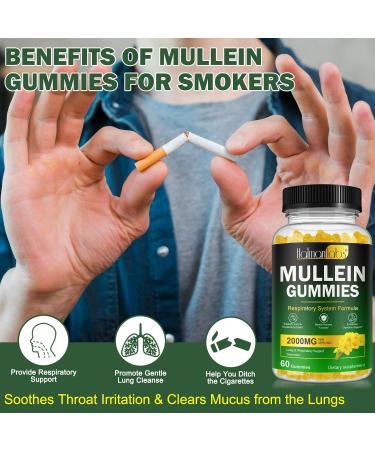Mullein Gummies for Lungs 2000 MG(50:1 Extract) Mullein Leaf Extract for Lung Cleanse and Respiratory Support Natural Mullein Herbal Supplement Pear Flavor Gummies 60 Count 60 Count (Pack of 1) - Buy Online on GoSupps.com