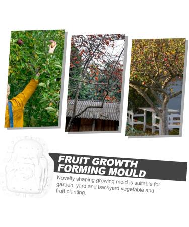 Happyyami 5pcs Fruit Shaping Watermelon Transparent Forming Stereotypes Ginseng Fruit - Buy Online on GoSupps.com