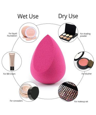 BEAKEY 4+1Pcs Makeup Sponges with Powder Brush | Professional Beauty Sponge Blender & Kabuki Brush Set - Buy Online on GoSupps.com
