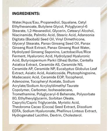 Then I Met You Renewing Rich Beauty Cream - Ginseng + Squalane Moisturizer - Vegan Clean Skincare - Buy Online on GoSupps.com