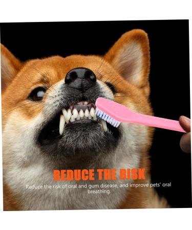 Didiseaon 12pcs Double Head Dog Toothbrush Tooth Paste Dog Toothbrush and Toothpaste Dogs Toothbrush Set Clean - Buy Online on GoSupps.com