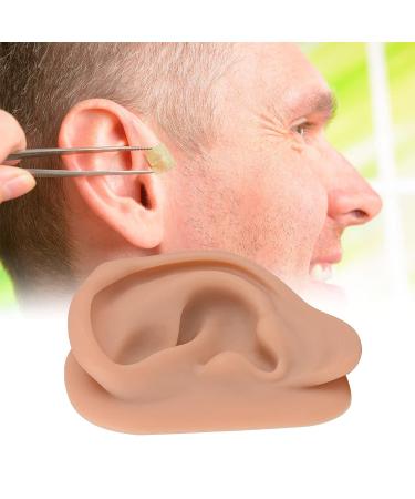 Silicone Acupuncture Ear Model - Left Ear Replica for Auricular Therapy Practice and Teaching - Buy Online on GoSupps.com