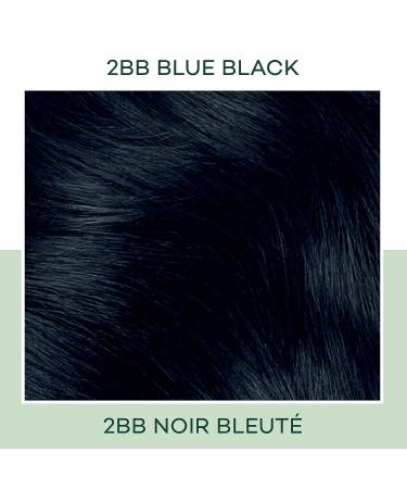 Clairol Natural Instincts Demi-Permanent Hair Dye 2BB Blue Black Hair Color 5.85 Fl Oz | Pack of 1 - Buy Online on GoSupps.com
