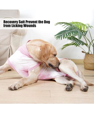 Buy Lianzimau Dogebody Suit: Post-Surgery Protective Clothing for Male Dogs - Tie-Dye Pink Pet Shirt & Wound Divider - Buy Online on GoSupps.com