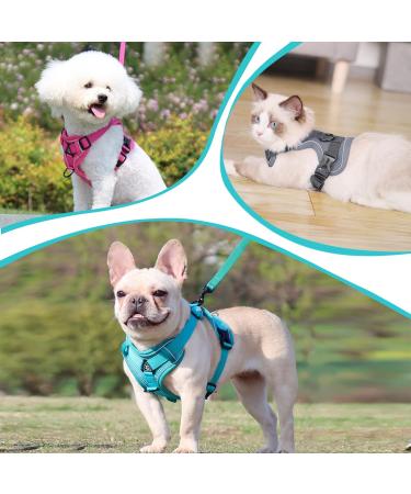 Adjustable Cat Dishes Set | Blue Lake - M | Perfect for Cats Kittens Dogs & Puppies | International Shipping - Buy Online on GoSupps.com