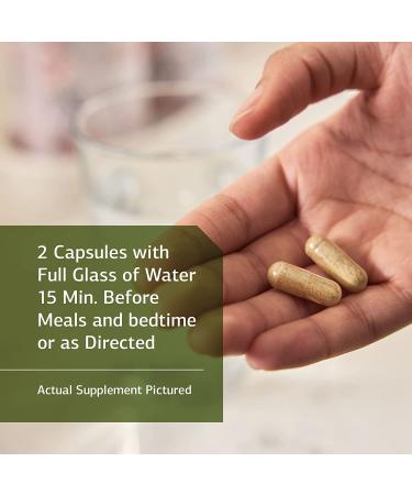 Standard Process Gastrex - Whole Food Digestion Support - 90 Capsules - Buy Online on GoSupps.com