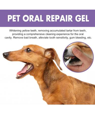 Pet Oral Repair Gel Pet Oral Repair Gel for Fast Healing - Easy-Apply Gel Pen for Daily Maintenance Ideal for Sensitive Gums & Dental Hygiene - Suitable for All Dog Breeds(1pcs) - Buy Online on GoSupps.com