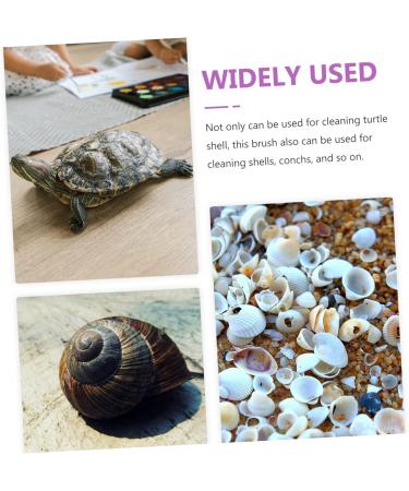 SUPVOX Turtle Shell Cleaning Brush - 4pcs Fish Tank & Tortoise Accessories | Effective Mud & Hair Cleaner (16x5cm - Buy Online on GoSupps.com