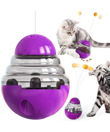 TACKDG Cat Toys Interactive Kitten Toy for Indoor Cats Teaser Supplies Birthday Gift A Treat Toy /w Teaser