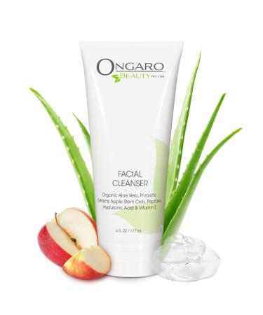 Ongaro Beauty Hydrating Face Cleanser  Gentle Facial Cleanser with Organic Aloe Vera for Normal  Oily  Sensitive and Dry Skin  Facial Wash with Hyaluronic Acid and Vitamin E  6 fl oz