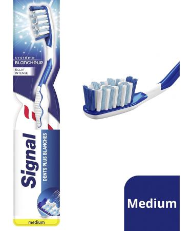 Buy Signal Toothbrush X12 Medium - Intense Shine & Enamel Protection | 12 Pieces - International Shipping Available - Buy Online on GoSupps.com