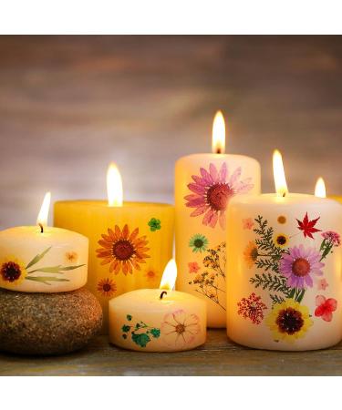 Dried Pressed Flower Leaves Set with Tweezers - 110 Assorted Natural Daisy Flowers for DIY Crafts & Decorations - Buy Online on GoSupps.com