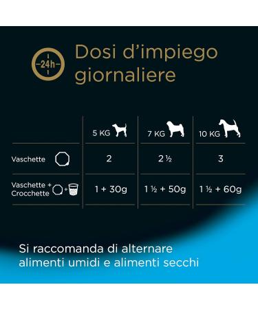 Cesar Senior 10+ Food for Senior Dogs Assorted Selection 150 g 24 tubs - 3600 g - Buy Online on GoSupps.com