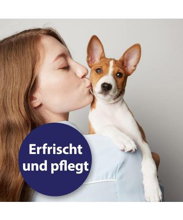 Canosept Ear Cleaner for Dogs 125ml | Effective Solution for Ear Care Dirt Removal & Inflammation Relief - Buy Online on GoSupps.com