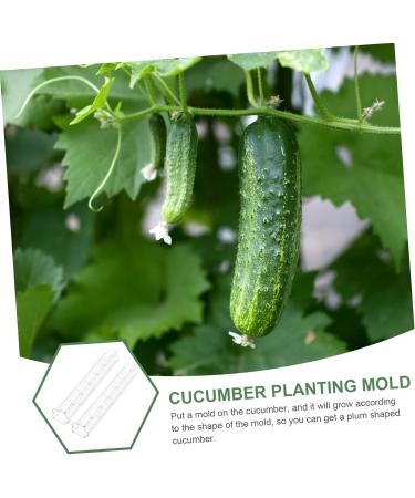 CAXUSD Horticulture 3pcs Vegetable Shaping Mold Oven Garden Cucumber Mold Cucumber Shaping Mold Strawberry Watermelon As Shown 20x6cm - Buy Online on GoSupps.com