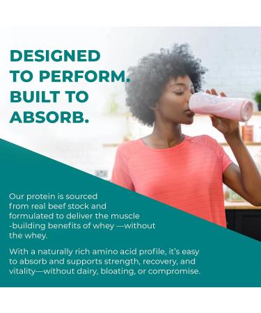 Reignite Wellness by JJ Virgin | Chocolate Paleo-Inspired All-in-One Shake | Gluten Free + Dairy Free Protein Powder | Contains 20G of Beef Protein with Vitamins, Minerals, Amino Acids | 30 Servings Chocolate 2.4 Pound (Pac  - Buy Online on GoSupps.com