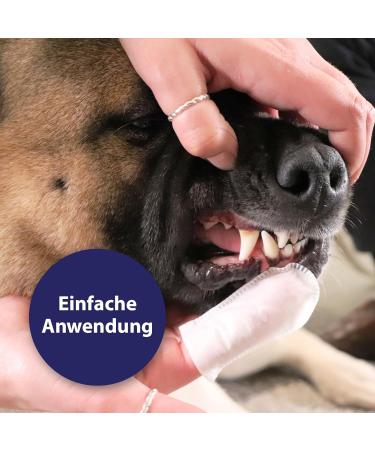 Canosept Dental Care Package for Dogs | Dr. Fressnapf Online Vet Advice Toothbrush Toothpaste & More - Buy Online on GoSupps.com