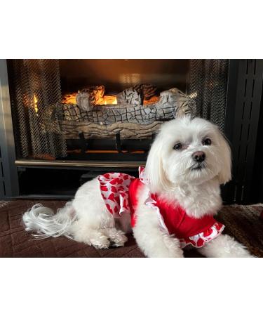 XPUDAC Small Dog Dress Girl Apparel: Colorful Flower Dog Clothes for Small Dogs - 4 Pieces (Small 5.5-8 lbs) - Buy Online on GoSupps.com
