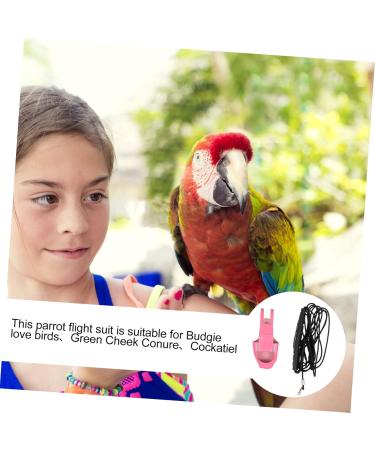 Angoily Parrot Flight Suit & Outfit - Nymphensittich Ara Vogel Pipi-Pad for Pets | Best Windel & Clothing Set for Parrots - Size S 4M - Buy Online on GoSupps.com