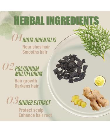 Light Brown Herbal Hair Dye Shampoo 3 in 1 - 16.9 Fl Oz for Gray Hair | Natural Plant Formula Easy At-Home Use for Men & Women - Buy Online on GoSupps.com