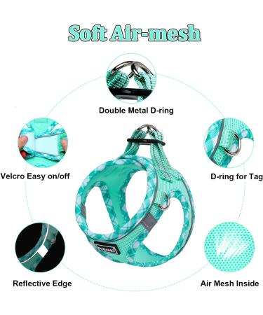 Doramio Reflective Dog Harness for Small Dogs & Cats - Breathable Step-In Design with Leash - Ant-Pull Safety - Light Green (S) - Buy Online on GoSupps.com