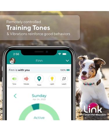 GPS Dog Tracker + Activity Monitor with Training Tools | Waterproof & Lightweight | PetPass & Vet Record Storage | Fits Most Collars | iPhone & Android Apps - Buy Online on GoSupps.com