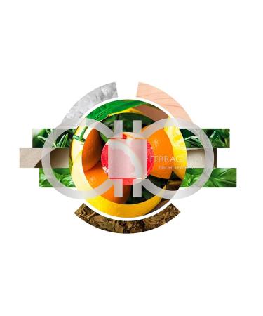 Salvatore Ferragamo Bright Leather Set 3.4oz EDT Spray 0.33oz EDT Spray 3.4oz Shower Gel Men 3 Pc Gift Set - Buy Online on GoSupps.com