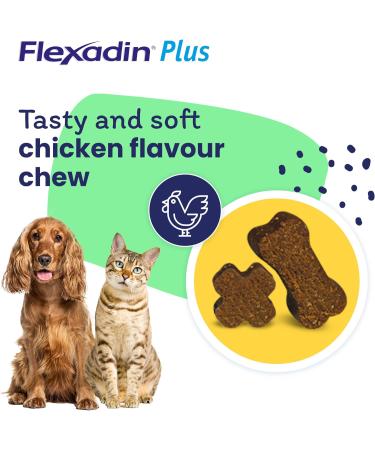 Flexadin Plus Joint Supplement Chews for Cats and Small Dogs (up to 10kg) | Supports Mobility & Flexibility | With Glucosamine, Chondroitin, Omega 3 & Vitamin E | 90 Chews - Buy Online on GoSupps.com