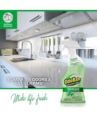 OdoBan 32 oz Original Eucalyptus Scent Spray 3 Pack - Odor Eliminator, Disinfectant for Restoration, Flood, Fire & Water Damage - Buy Online on GoSupps.com