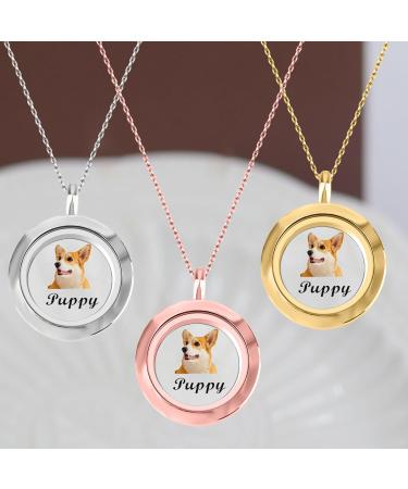 Personalised Pet Fur Locket Pendant Necklace Engraved Photo Name Stainless Steel Custom Pet Keepsake Necklace Portrait Urn Necklace Memorial Gift For Loss Love Pets silver - Buy Online on GoSupps.com