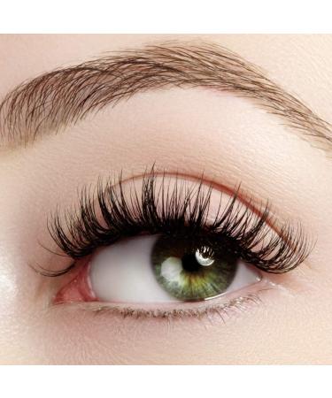 Cosmania Lashes for Days False Eyelashes (So Natural) - Fuller & Natural Looking | Easy to Apply | Cruelty Free - 5 Pack/2 Pair - Buy Online on GoSupps.com