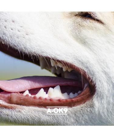 A-OK9 Plaque-K9 Dental Supplement for Dogs - Removes Plaque, Bad Breath & Tartar | Oral Hygiene Support with Natural Ingredients - Absolute Dogs - Buy Online on GoSupps.com