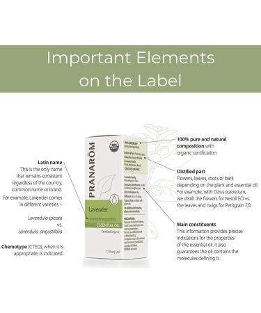 Buy Pranarom Clove Bud Essential Oil 5ml - Natural Aroma & Wellness - Buy Online on GoSupps.com