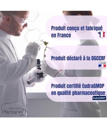 Stimunel Ginseng + Maca Ultra-Concentrated (3300mg) Power Strength Energy Endurance Tribulus L-Arginine - Cure of 20 Capsules - Certified French - Buy Online on GoSupps.com