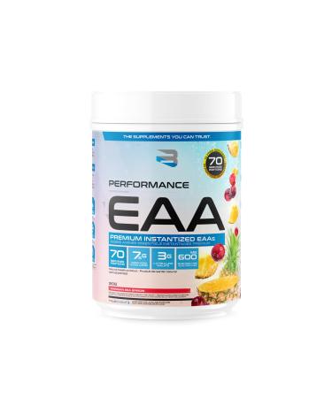 Believe Supplements Performance EAA - Essential Amino Acids Formula | Boost Muscle Recovery Performance & Hydration | Sugar-Free & Delicious Flavors Available! (70 servings Hawaiian Sea Breeze) Hawaiian Sea Breeze 70 servings