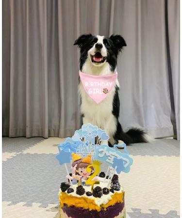 Dog Birthday Bandana for Large Pet - Pink Birthday Girl Design - 1 Pack - Buy Online on GoSupps.com