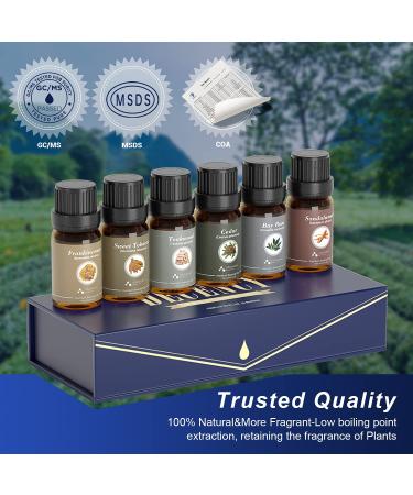 ASAKUKI Essential Oils Gift Set for Men - Sandalwood, Cedarwood, Frankincense, Teakwood, and More - 10ML Wood Scents for Candle & Soap Making - Buy Online on GoSupps.com