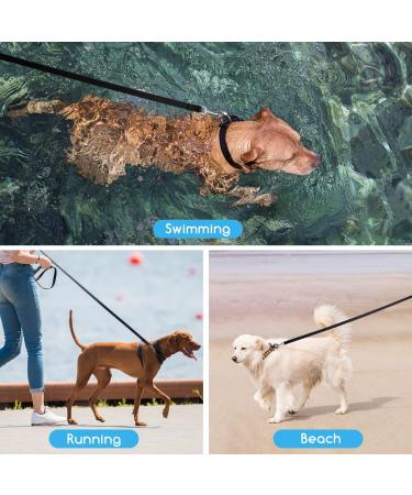 Nobleza 10m Black Dog Training Lead with Padded Handle and Swivel Hook - Durable Nylon Long Line Leash for Pet Recall Obedience Tracking - Buy Online on GoSupps.com