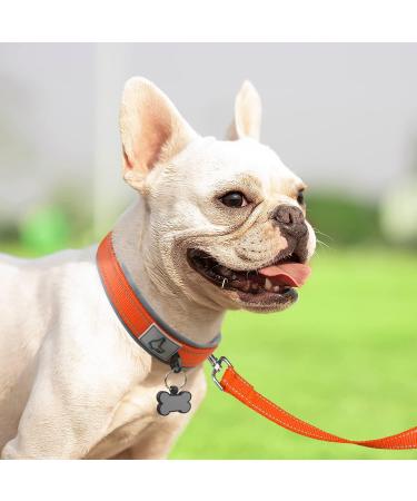 Joytale Softly Padded Neoprene Dog Collar for Small Dogs - Reflective Nylon Orange S (1 Pack) | Best International Shipping - Buy Online on GoSupps.com