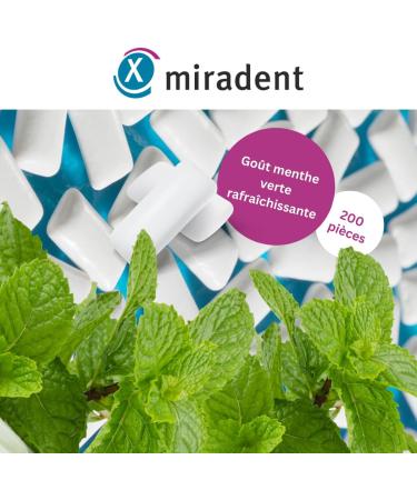 miradent Chewing-gum dentaire au xylitol Pack conomique 200 pcs | go t Spearmint | sans sucre | vegan | pr ventif caries | pratique pour emporter - Buy Online on GoSupps.com