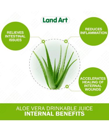 Pure Aloe Vera Juice Pomegranate 1.5L - Cold-Processed from Organic Fresh Leaves for Intestinal Issues Made In Canada - Buy Online on GoSupps.com