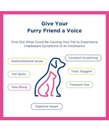 UCARI Pet Sensitivity Test Kit for Dogs & Cats | 1000+ Environmental & Food Intolerance Screening | Bioresonance Health Testing | Fast Results - Buy Online on GoSupps.com