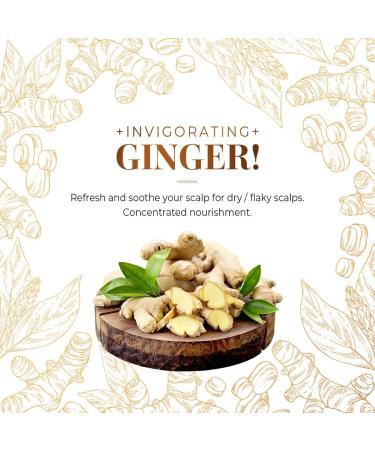 CP-1 Ginger Purifying Conditioner 100 ml Conditioner Resolve Nutritional Deficiencies Tired Hair Treatment Ginger Oil Improves Makes Hair Healthy and Shiny - Buy Online on GoSupps.com