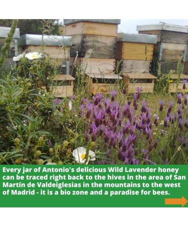 Antonio's Raw Certified Organic Wild Lavender Honey 500g - Pure Wilderness Honey, Unpasteurised, Single Origin | The Raw Honey Shop - Buy Online on GoSupps.com