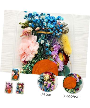 Zerodeko 9 Boxes Handmade Diy Dried Flowers Real Daisy Dried Flower Leaves Dried Flowers Nail Art Dried Flower Decor Maternity Clothes Dried Flowers for Soap Making Bjd Doll Manual Bouquet - Buy Online on GoSupps.com