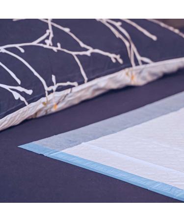 Healthy Disposable Incontinence Pads for Dogs - 40x60 cm (25 Pack) | Best Incontinence Covers for Pet Care - Buy Online on GoSupps.com